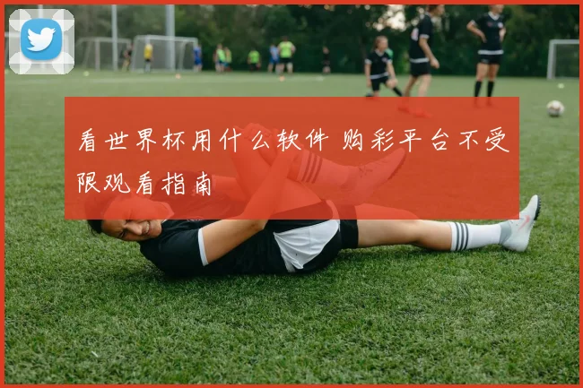 看世界杯用什么软件 购彩平台不受限观看指南