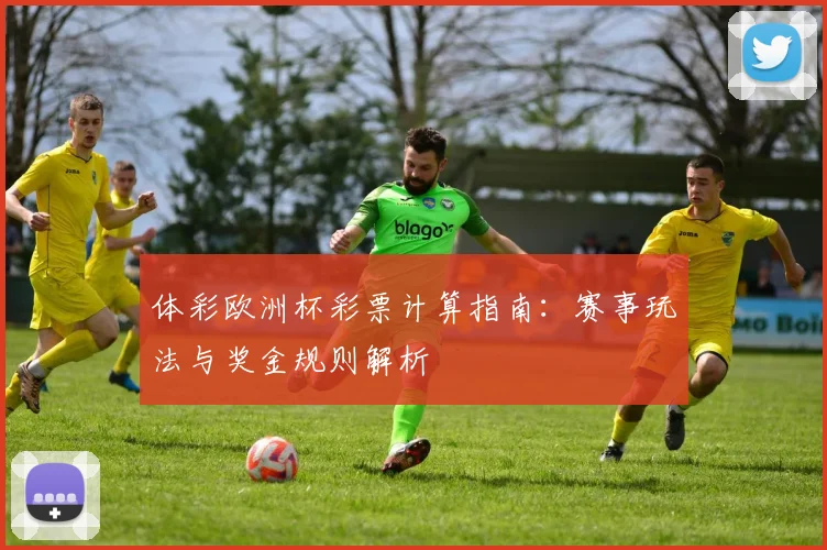 体彩欧洲杯彩票计算指南:赛事玩法与奖金规则解析