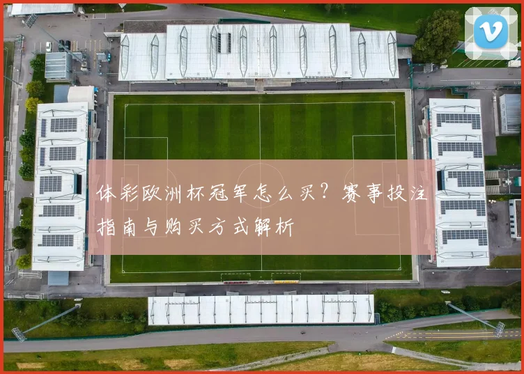 体彩欧洲杯冠军怎么买？赛事投注指南与购买方式解析