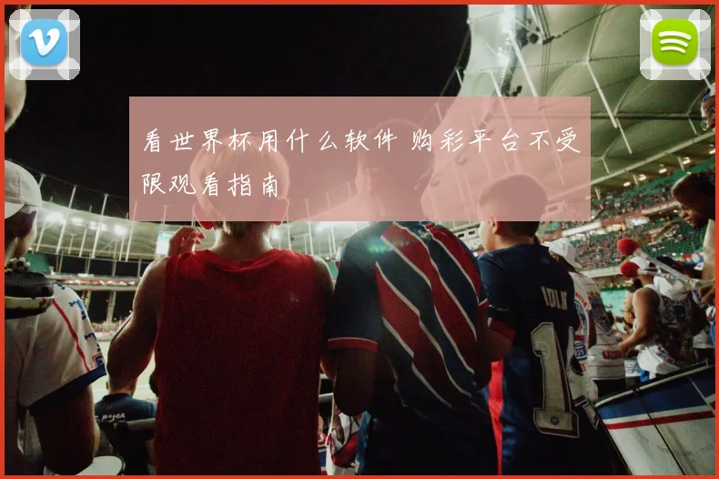 看世界杯用什么软件 购彩平台不受限观看指南