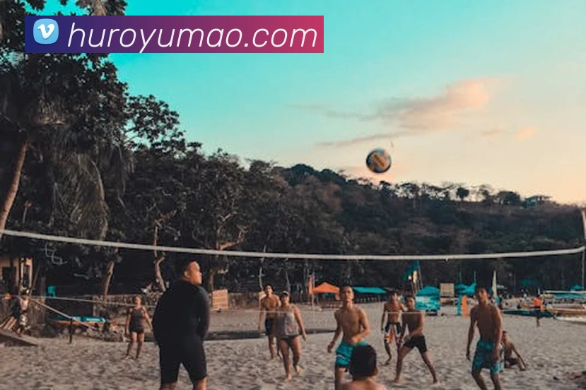 奇异果体育官方网址服务体系